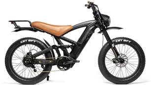 Lynx Black 1