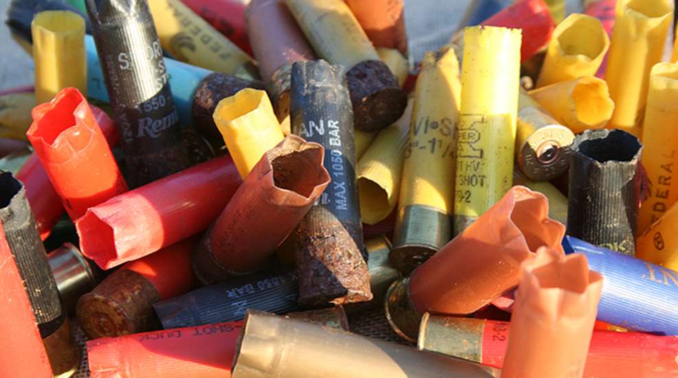 carter_waterfowl_shells_f.jpg