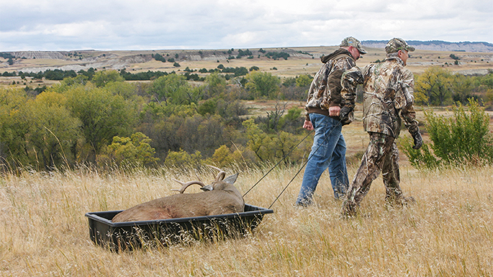 Hunters dragging deer for processing