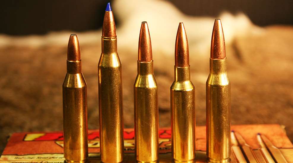 calibersforyouthdeerrifle_lead.jpg
