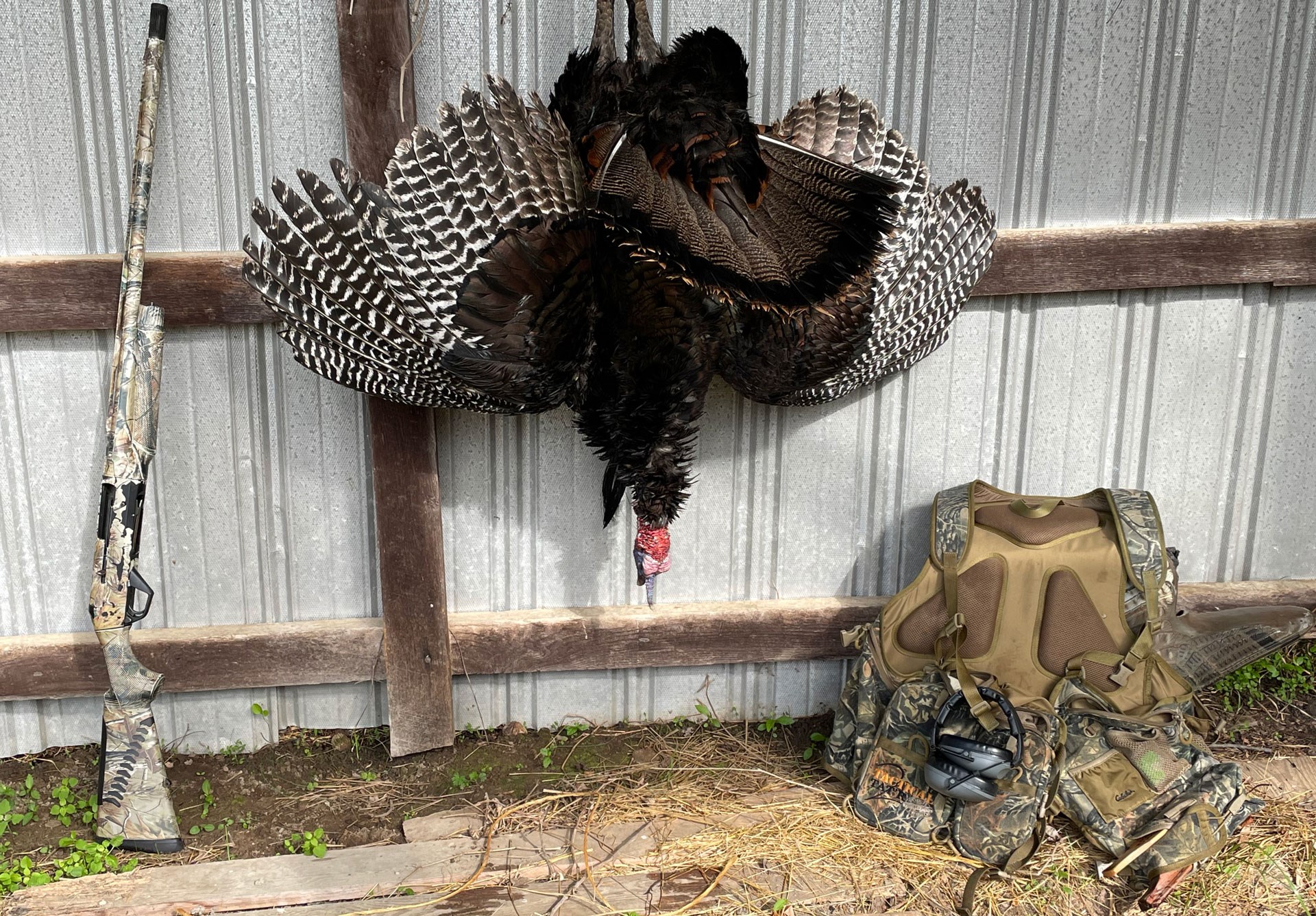 Turkey setup