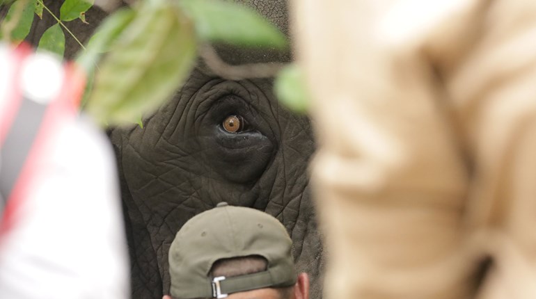 Behind the Scenes: Hard Truths of Conservation | An Official Journal Of The NRA