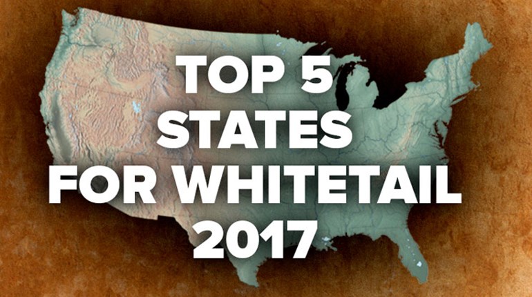2017's Best States for Whitetail | An Official Journal Of The NRA