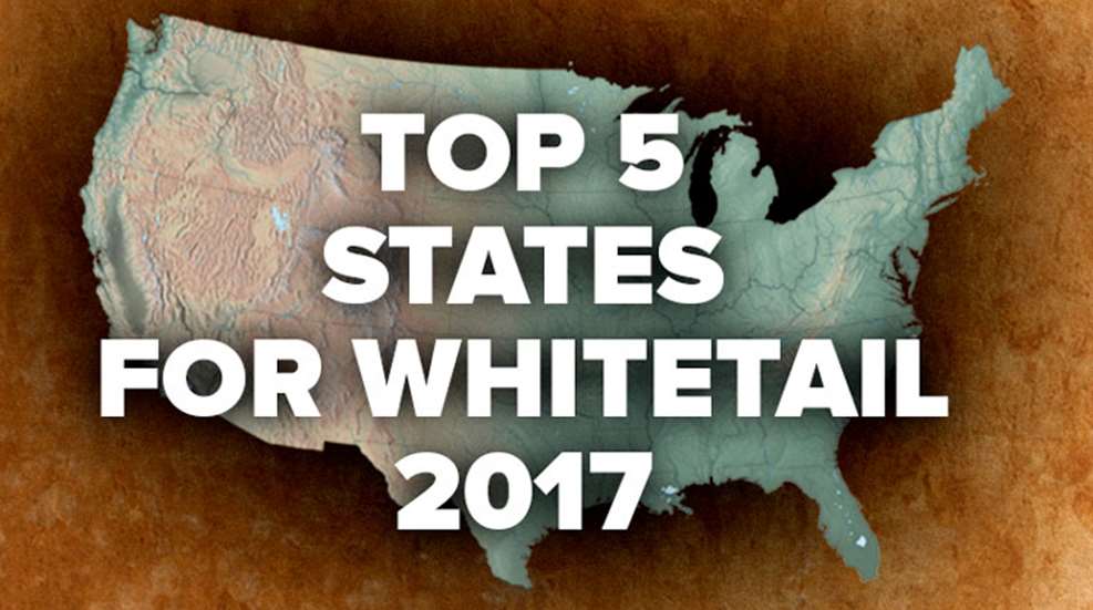top5stateswhitetail.jpg