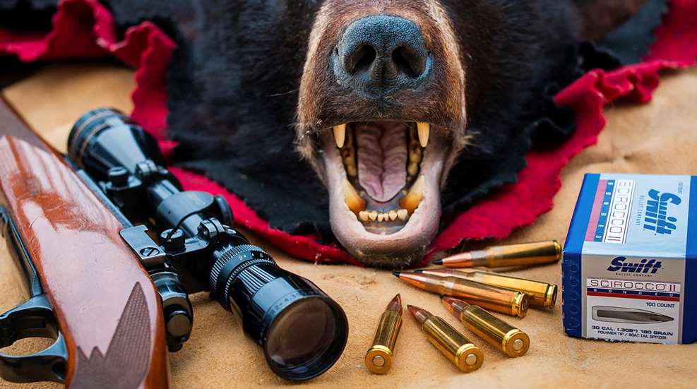 Best Black Bear Cartridges Lead