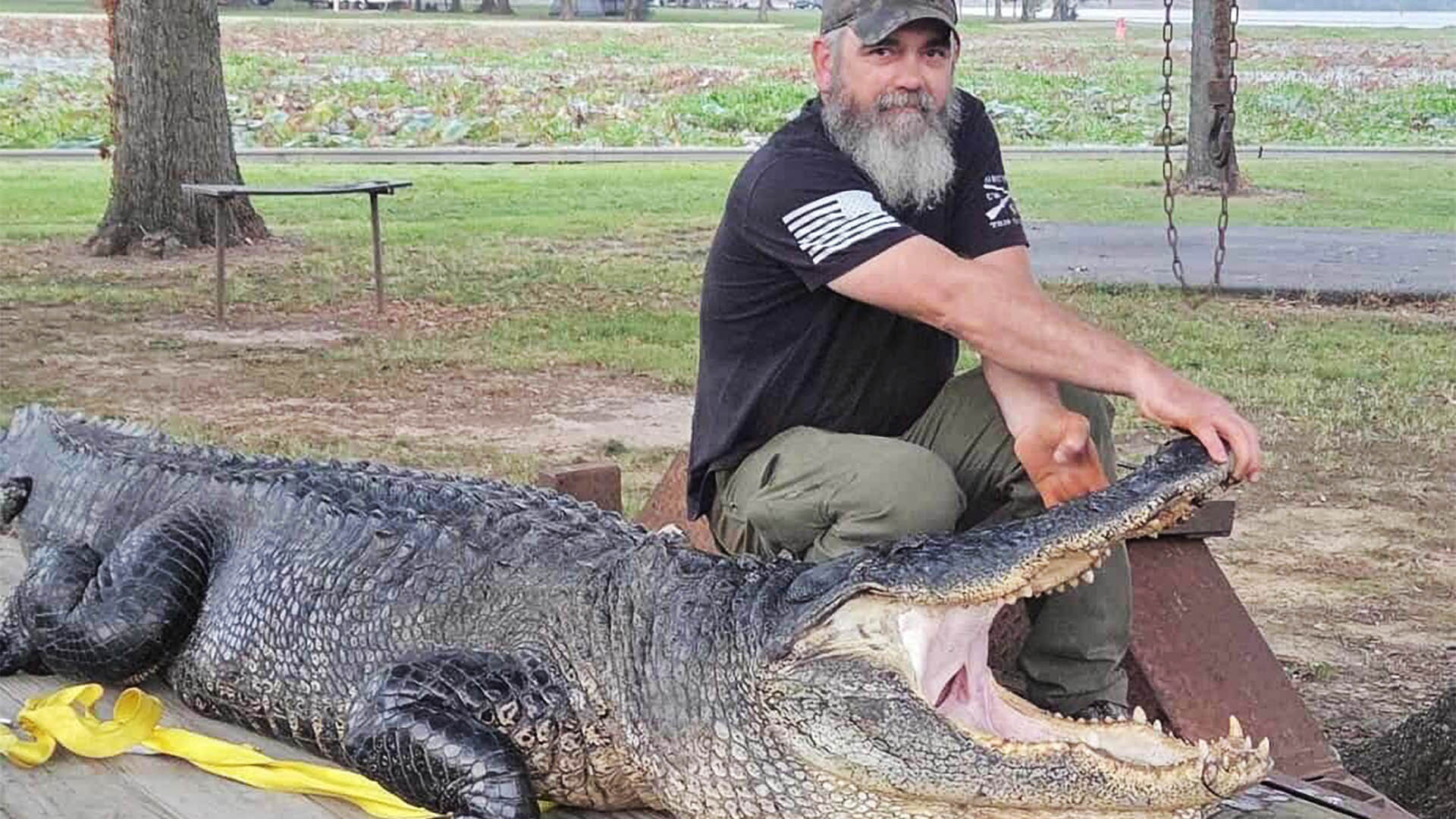 Arkansas Sets New Alligator Harvest Record | An Official Journal Of The NRA