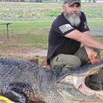 LEDE 2025 Alligator