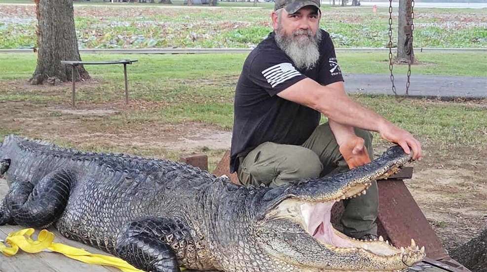 LEDE 2025 Alligator