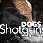 dogs_ah2015_fs.jpg (19)