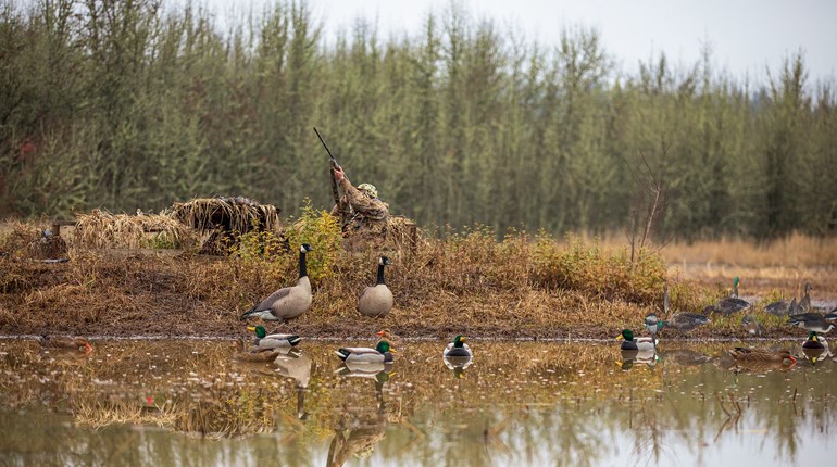 Primetime Duck Moves | An Official Journal Of The NRA