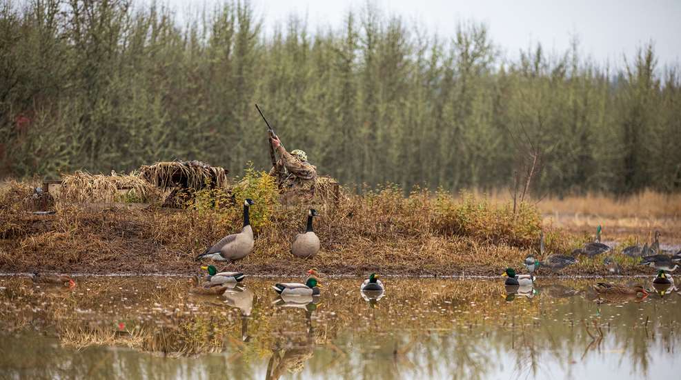 Primetime Duck Moves Lead