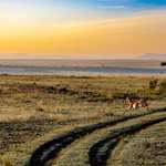 Kenya At Sunset