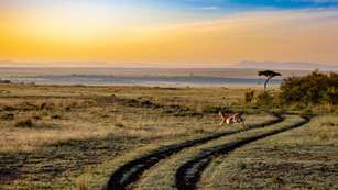 Kenya At Sunset