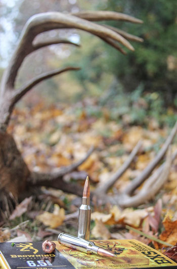 6.5 Creedmoor Bullet with deer rack in background