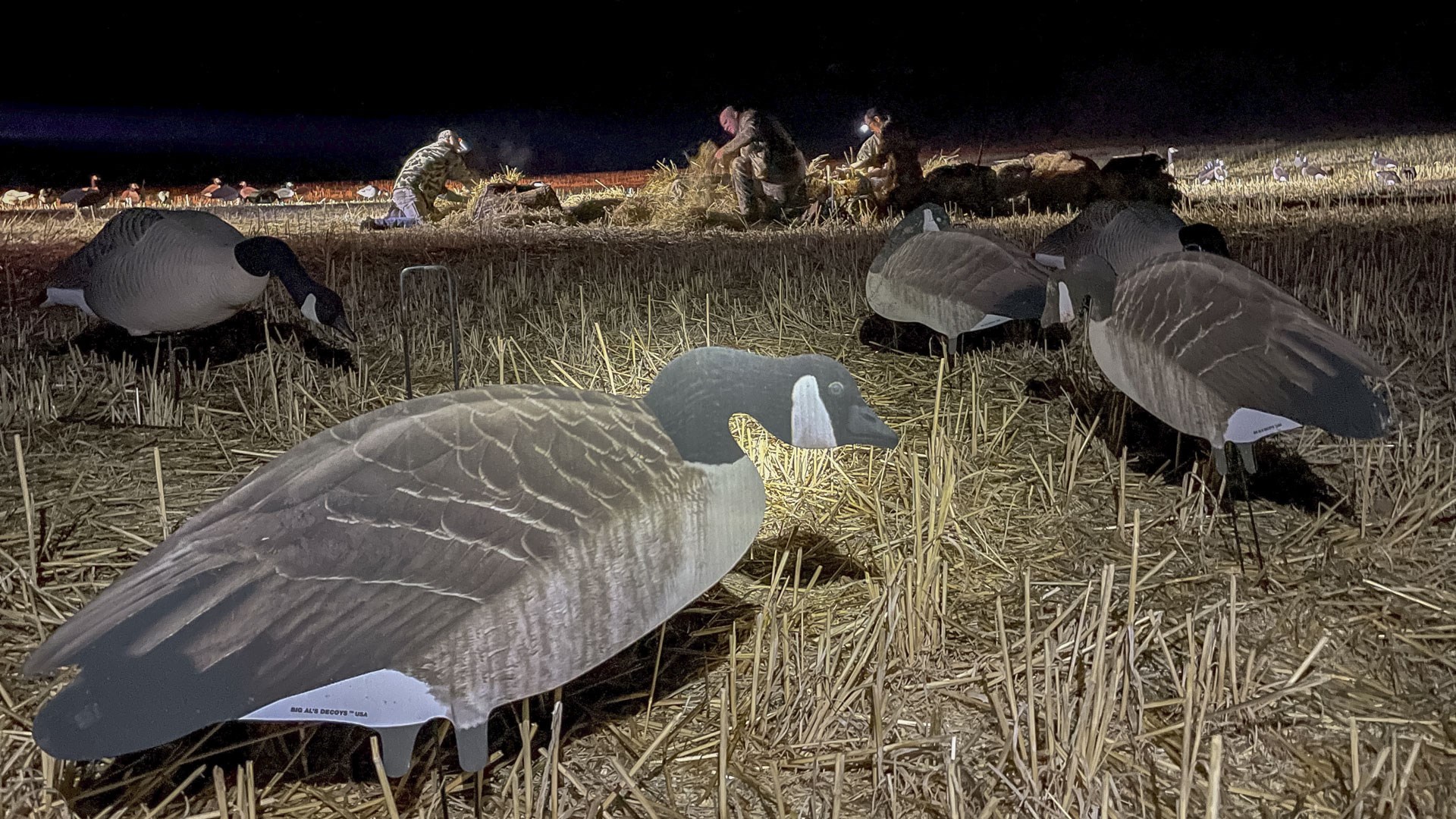 Goose decoys
