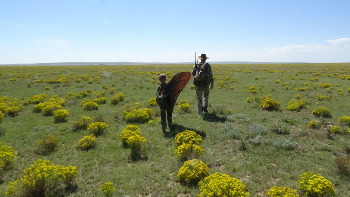 Walking across the wide open prarie