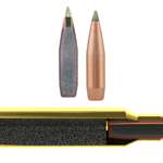 MAIN Bullet And Cartridge Impact And Premier Cutaway
