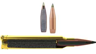 MAIN Bullet And Cartridge Impact And Premier Cutaway
