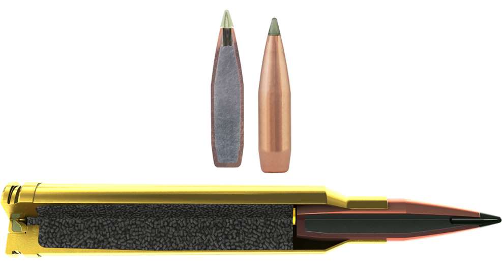 MAIN Bullet And Cartridge Impact And Premier Cutaway