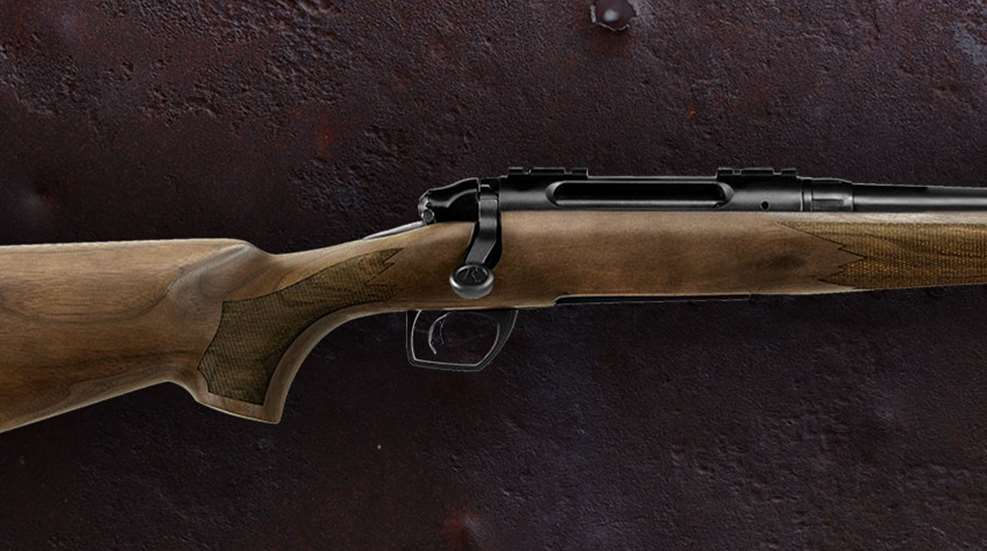 woodstocks_lead.jpg
