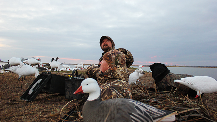 Snow Goose Hunters in Arkansas