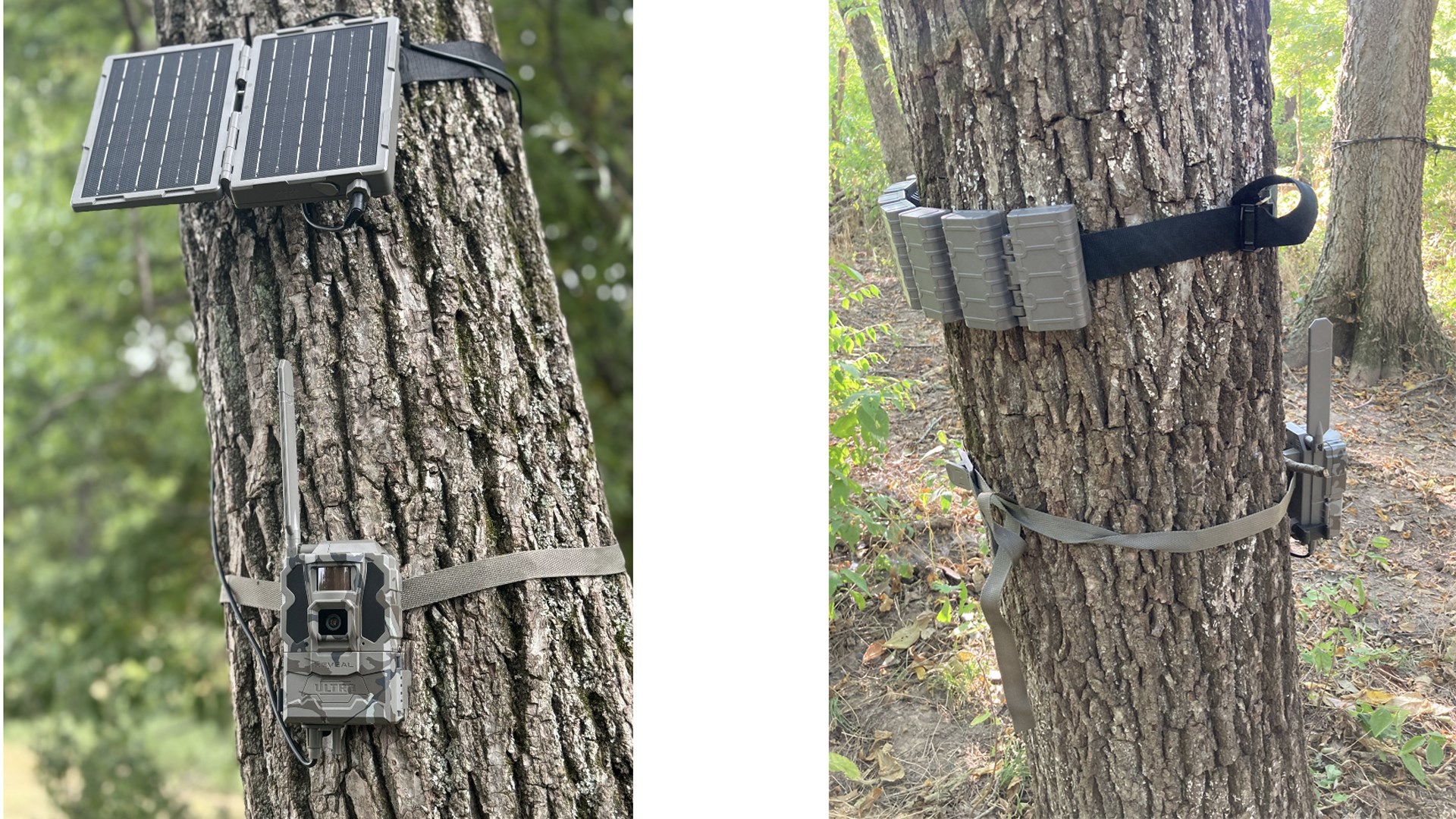 Tactacam Trail Cameras