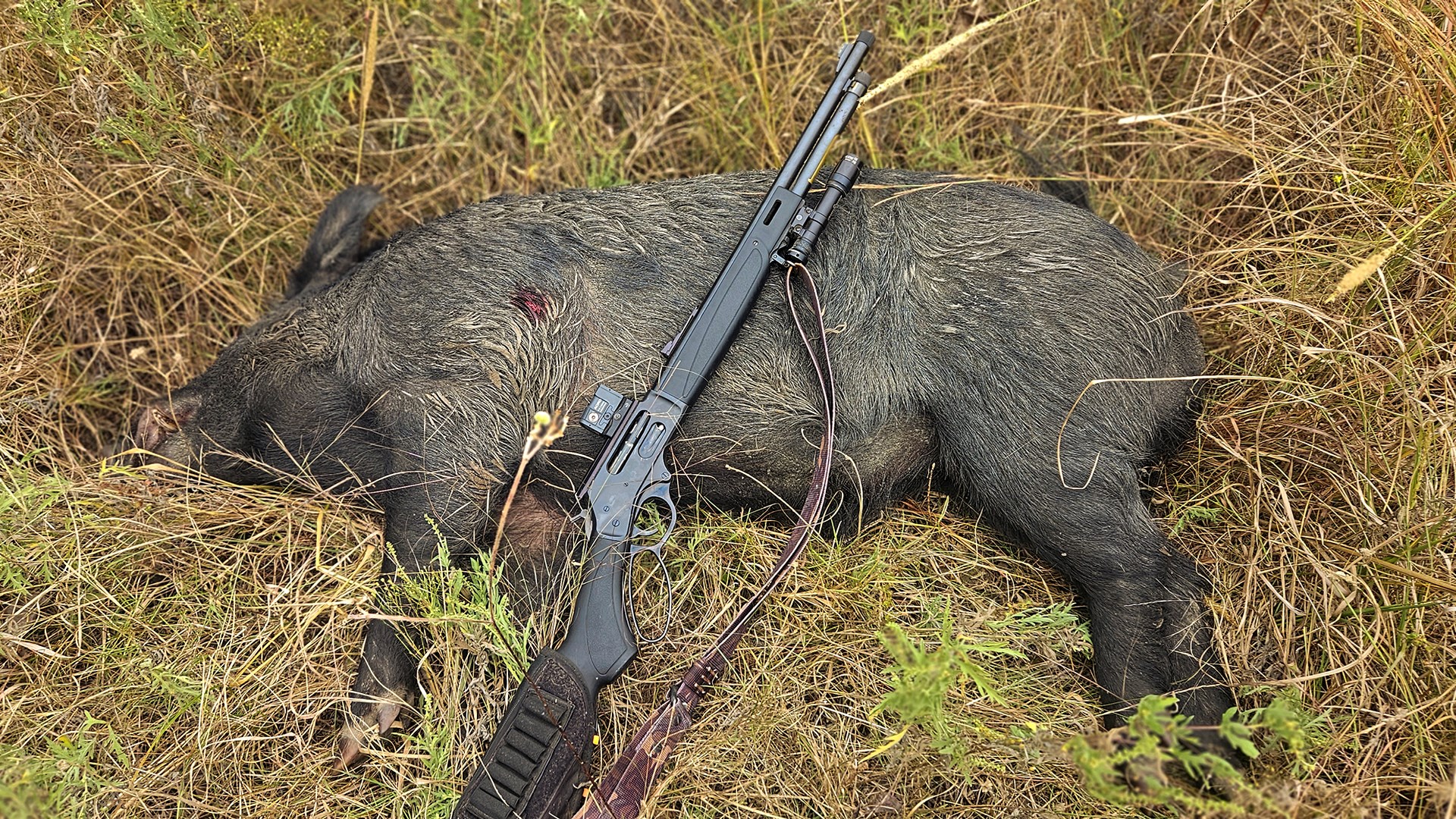 Hog with lever action on top