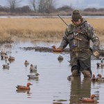 Late Season Decoy Mix | An Official Journal Of The NRA