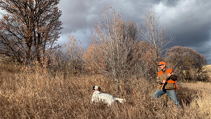 Hunter with bird dog