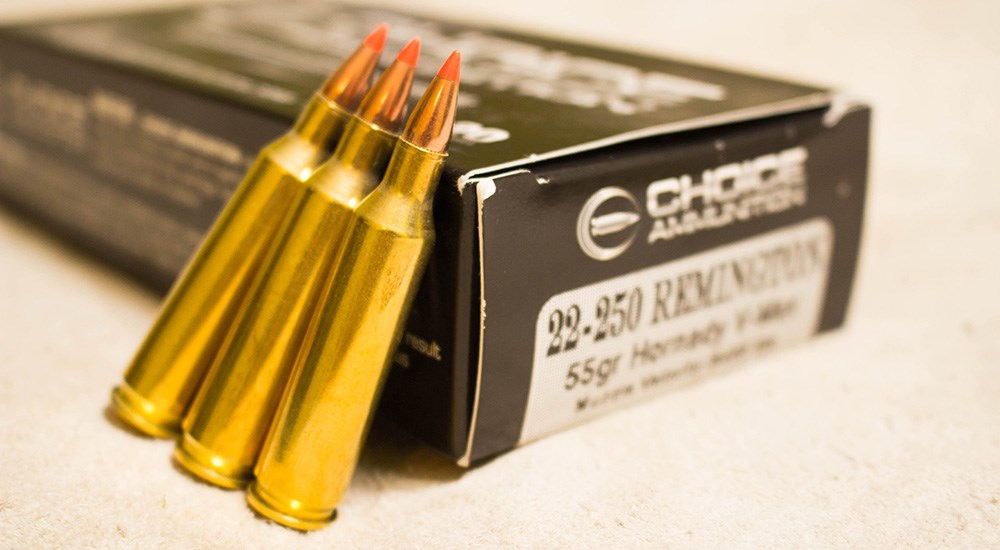 Choice Ammunition .22-250 Remington 55-grain ammunition cartridges.
