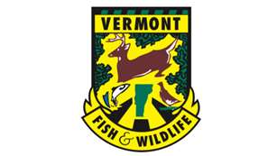 vtfwd-logo.jpg