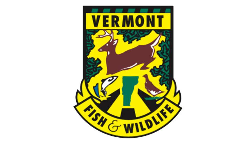vtfwd-logo.jpg