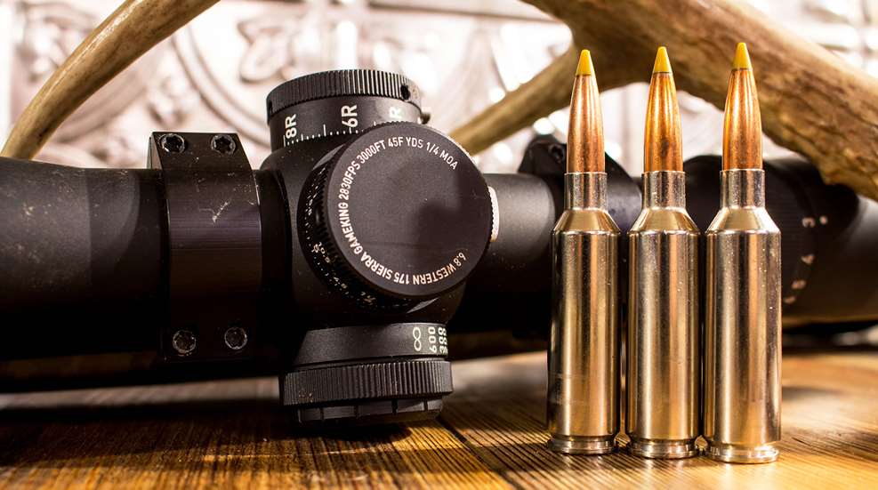 Leupold Custom Dial System Lead
