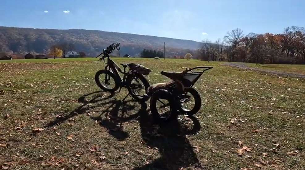 Quietkat In Field With Deer