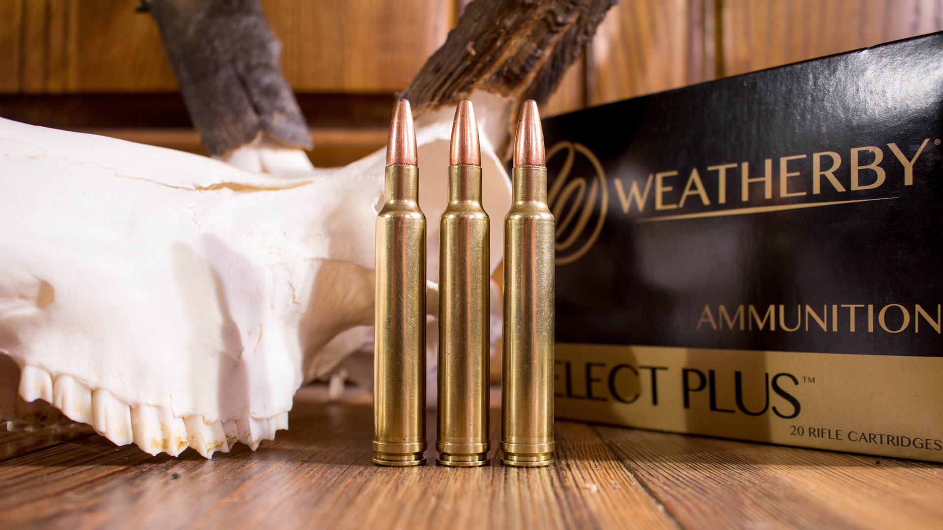 300 WBY Magnum