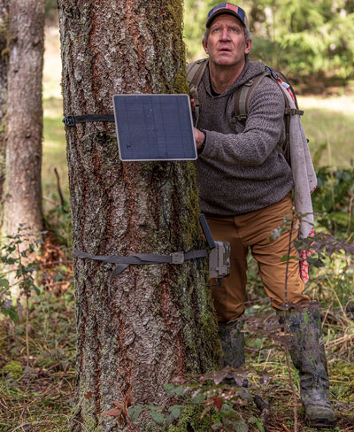 Trail camera with solar panel