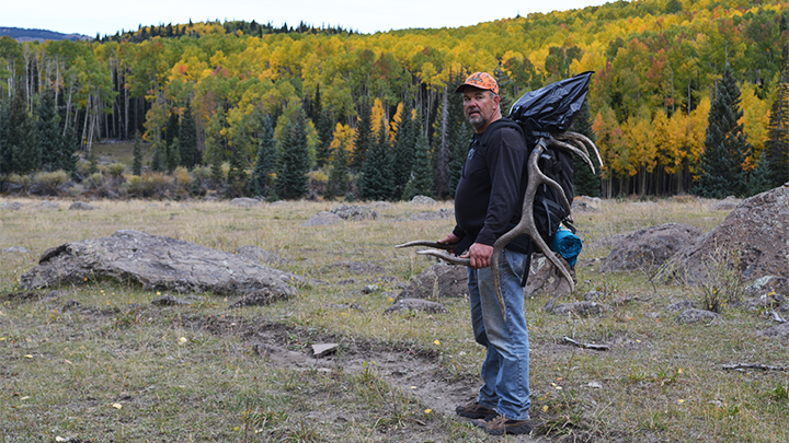 Hunter carrying elk antlers and meat in hunting pack