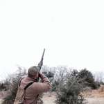 draper-shooting-stoeger-condor.jpg