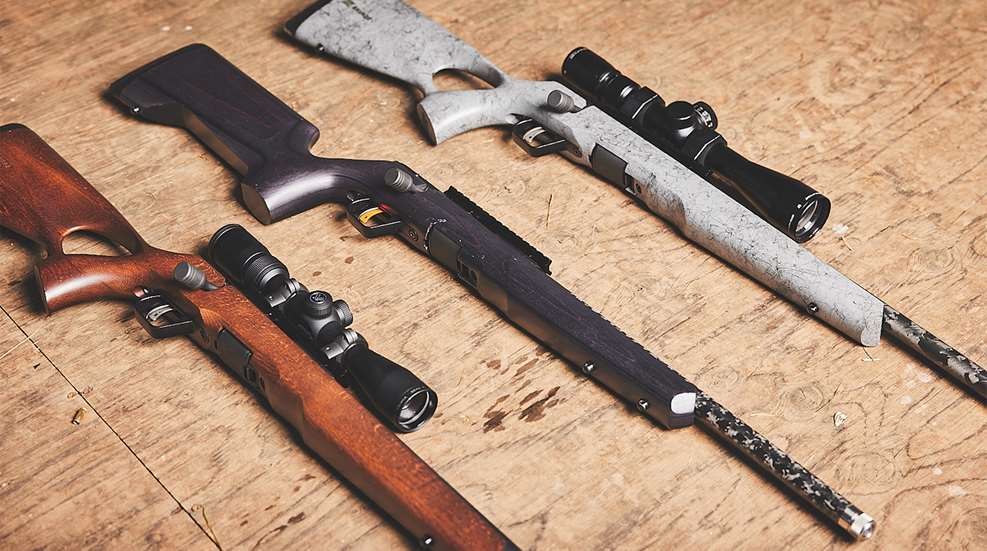 Savage TIMBER Series Rimfire Rifles Lead