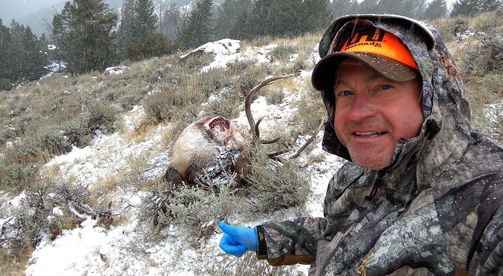 Hunter wearing latex gloves preparing to debone bull elk on the mountain.