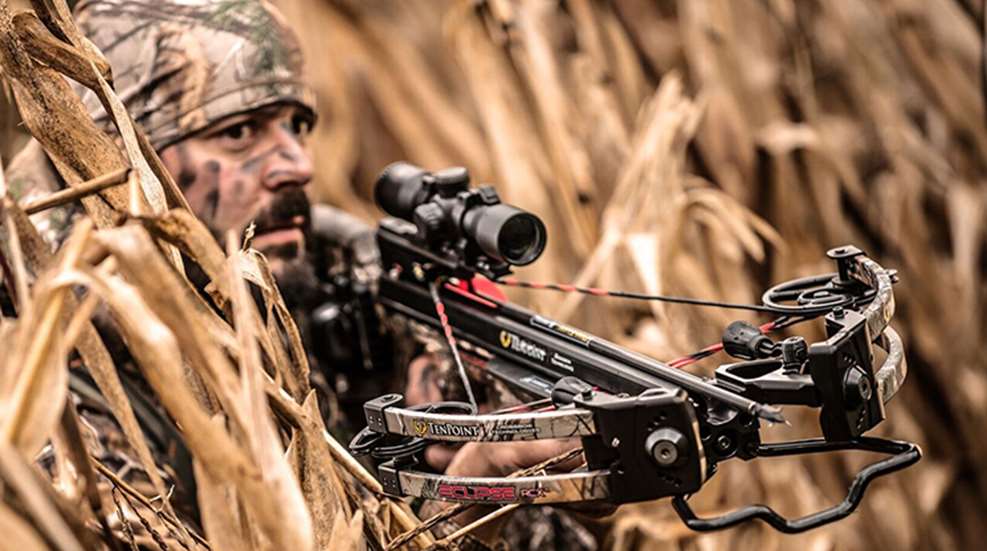 top_crossbows_f.jpg