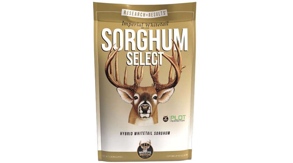 LEDE Imperial Whitetail Sorghum Select