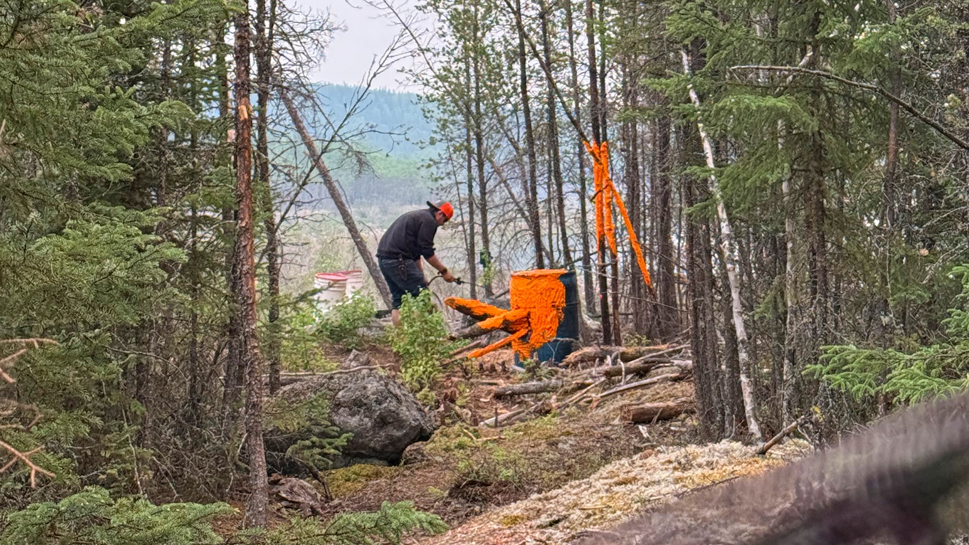 Baiting the pile