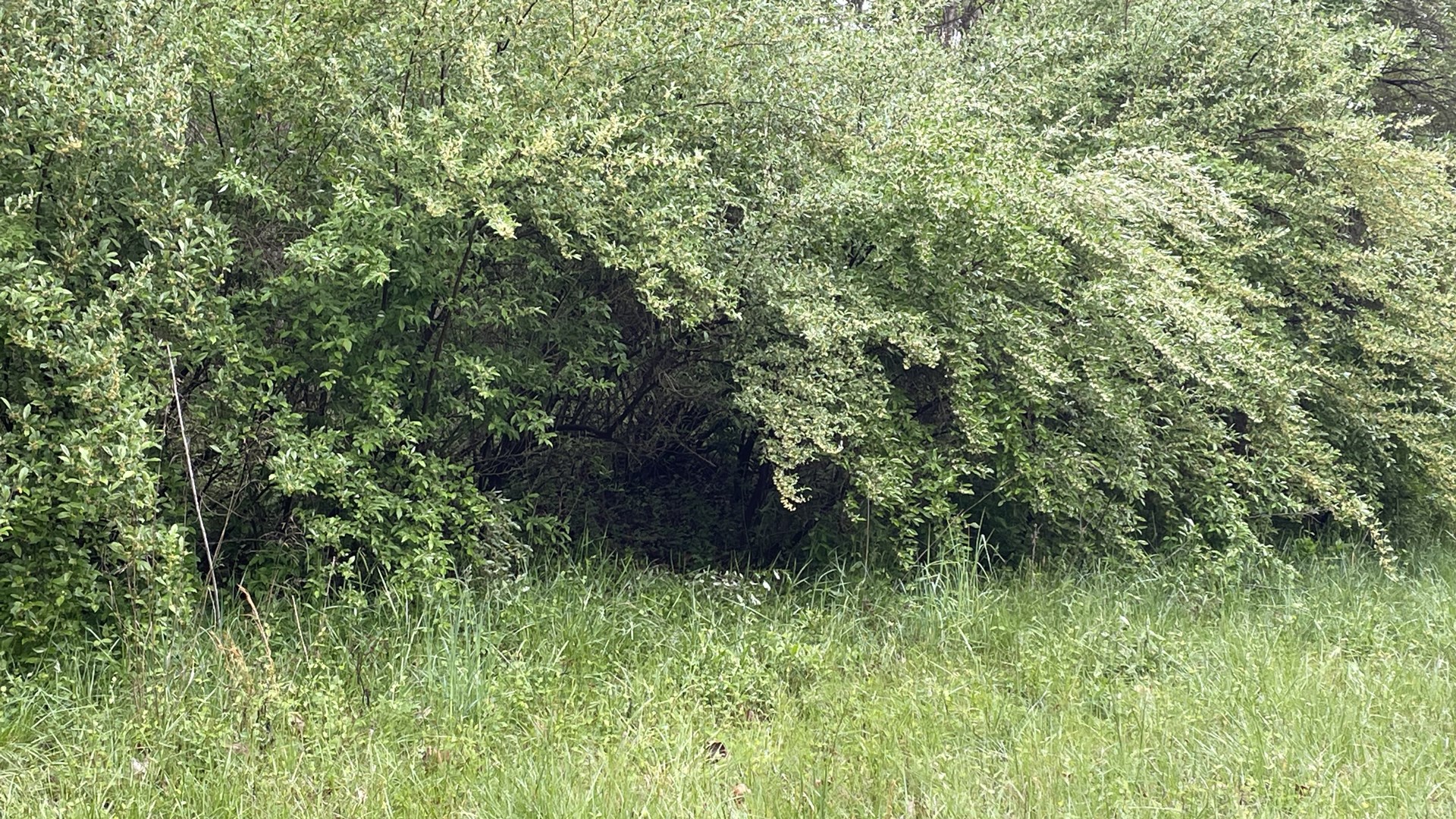 Hide location