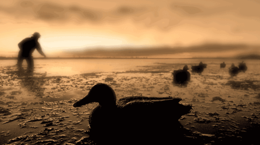 20091028-20061031_c_156b.buckley_f.gif