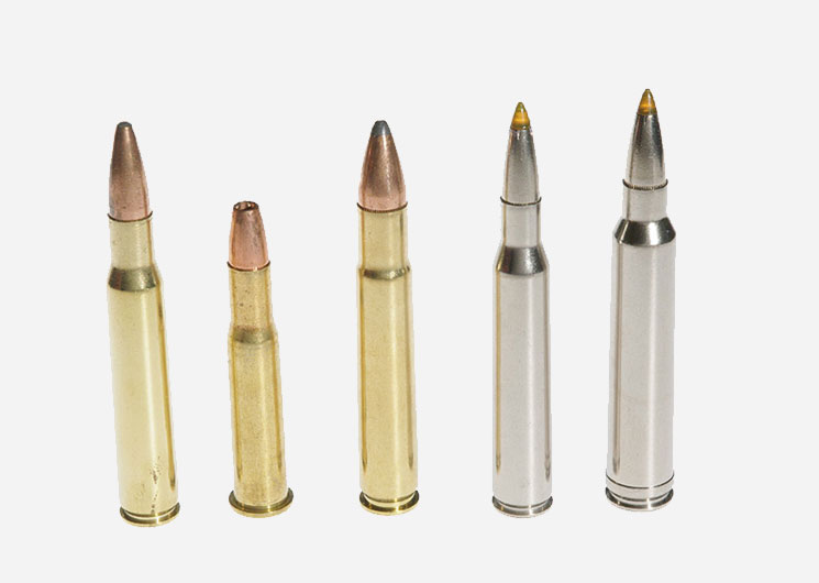 Top 5 Whitetail Cartridges | An Official Journal Of The NRA