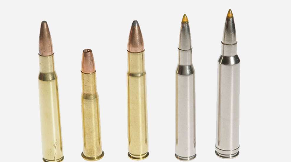 whitetail-cartridges-1.jpg