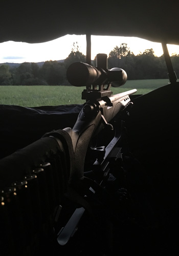 Remington 700 looks out of a blind at dawn