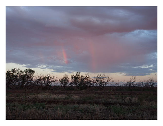 The Spike Box Ranch