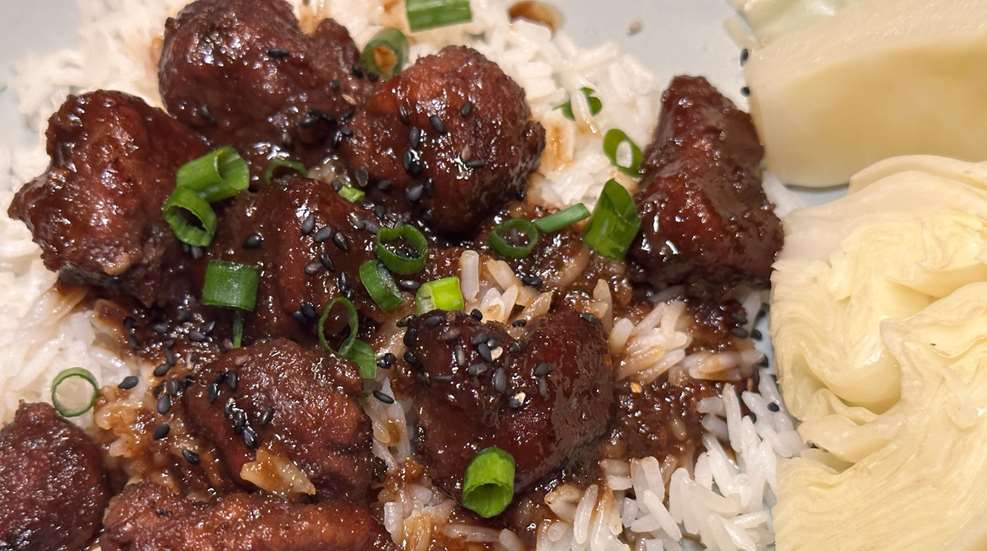 Honey Garlic Duck II